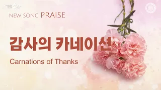 〔새노래 | Praise〕 감사의 카네이션, 하나님의교회 세계복음선교협회