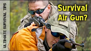 11 REASONS YOU NEED a 22 CALIBER AIR RIFLE - for Survival and FUN