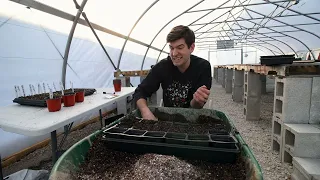 How to Multi-sow to Save TONS of Space When Seed Starting