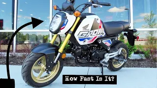 2022 Honda Grom SP Top Speed Test How fast does it go?