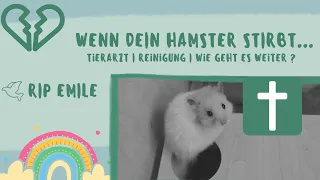 Mein Hamster wurde eingeschläfert :( | RIP Emile | Nagarium und Auslauf nach Tod reinigen