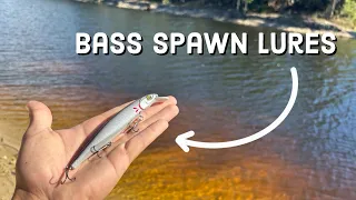 CATCH BASS During Spawn Season! (Watch this video)