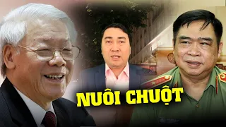 Chứng lú lẫn của ông Tổng là thật, ông nuôi chuột rồi lại đánh chuột