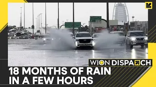 Dubai analyses the cause of sudden heavy rains | WION Dispatch