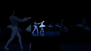 Swan Lake, choreographed by Rudolf Nureyev