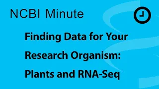 NCBI Minute: Finding Data for your Research Organism: Plants and RNA-Seq