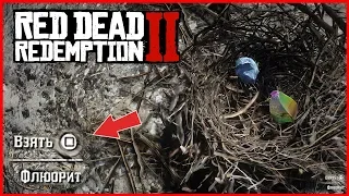 СЕКРЕТНОЕ ГНЕЗДО В RED DEAD REDEMPTION 2: НОВАЯ ПАСХАЛКА В RDR 2