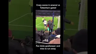Tottenham Fan in crowd kicks Arsenal Keeper