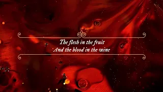 [Lyrics + Vietsub] AURORA - Blood In The Wine