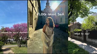 VLOG || Novi Sad, Serbia || Exploring new city with friends