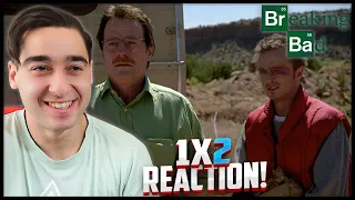 *Breaking Bad* S1E02 'Cat's In the Bag...' Reaction! (First Time Watching)