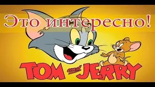 Том и Джерри (Tom and Jerry) — Интересные факты про мультик