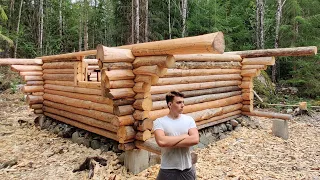 One Year Alone In The Forest Building A Log Cabin