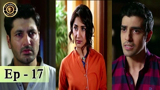 Khuda Mera Bhi Hai Ep 17 - 11th February 2017 -  ARY Digital - Top Pakistani Dramas