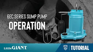 How to Test the Little Giant 6EC Series Pump Operation