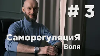 курс Саморегуляция | Урок #3 воля