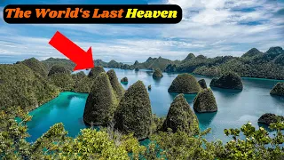 Raja Ampat - the world's last heaven #rajaampatisland #rajaampat