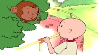 Caillou Magyar | Caillou és a Majom | Caillou szezon összeállítás | Rajzfilmek gyerekeknek | Új