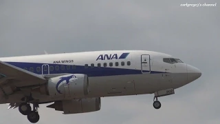福岡空港 ANA WINGS (AKX/ANA) Boeing 737-500 JA302K 着陸 2013.12.7