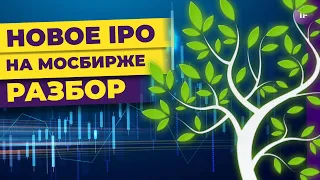 IPO Genetico (GECO): как заработать на генетических тестах