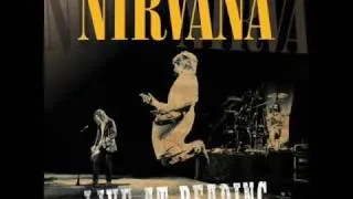 Nirvana - Breed (Live at Reading 1992)