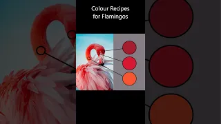 What colors do you use to paint Flamingos? 🤔 Color Recipes for Oil and Acrylic Paint #shorts