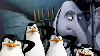 PENGUINS OF MADAGASCAR FULL EPISODE ENGLISH Game Penguins Burt's Beacon Cartoon Movie Gameplay