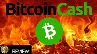 Bitcoin Cash Explained - The Fork, The Drama, The Future