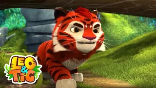 Leo & Tig - La patrulla de la Taiga |  y más episodios completos | Caricatura animada 🐯🦁