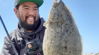 Swimbaits and Legal Halibut. Teaching the breakdown and fundamentals from shore