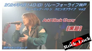 Acid Black Cherry【黒猫】20240414