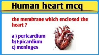 human heart mcq || heart mcq || heart mcq questions || heart related questions