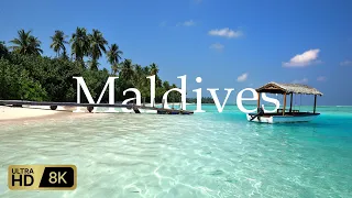 Maldives 4K UHD HDR | 8K UHD HDR (60fps)