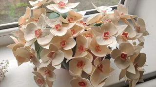Орхидея из фоамирана. Подробный мастер класс.