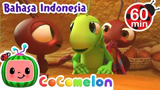 🐜Semut dan Belalang di Taman🦗 | CoComelon Bahasa Indonesia - Lagu Anak Anak | Nursery Rhymes