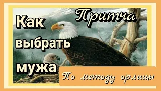 Как орлица выбирает отца своим птенцамlВполне подойдет для д