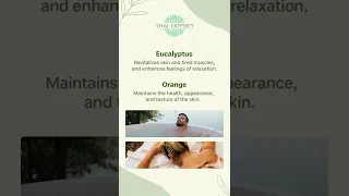 Thai Odyssey spa and skin care I Best Thai spa in Kolkata I Best spa I Couple Massage in Kolkata I