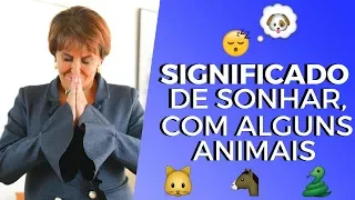 Sonhos com certos Animais por Márcia Fernandes