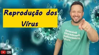 Reprodução dos Vírus - Microbiologia - Biologia com o Tubarão