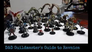 We open dungeons and dragons D&D Icons of the Realms Miniatures: Guildmasters Guide to Ravnica