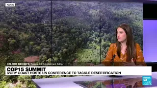 COP15: Ivory Coast hosts UN conference to tackle desertification • FRANCE 24 English