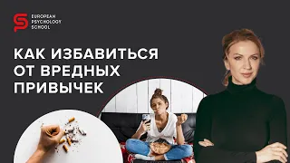 Привычки: как избавиться от вредных и приобрести полезные? Кристина Кудрявцева