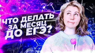 Что делать за месяц до ЕГЭ? | БИОЛОГИЯ