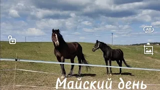 Майский день