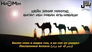 Шейх Захир Махмуд о Билял асхабе р.а.