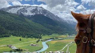 horsebackriding in the swiss mountains (gopro hero 8 black helmet cam)