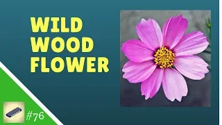 Lesson 76 HARMONICA C - Wildwood Flower - Easy Tabs