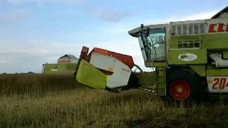 Repce Aratás 2013 Claas Mega 204 2x