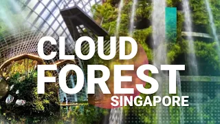 Cloud Forest World's Tallest Indoor Waterfall: Gardens by the Bay SG Part 2