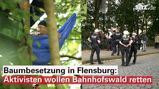 Aktivisten besetzen Bäume am Flensburger Bahnhof